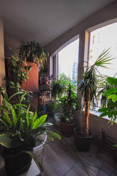 Квартира, 1109 м², 325 238$ — FAKTOR